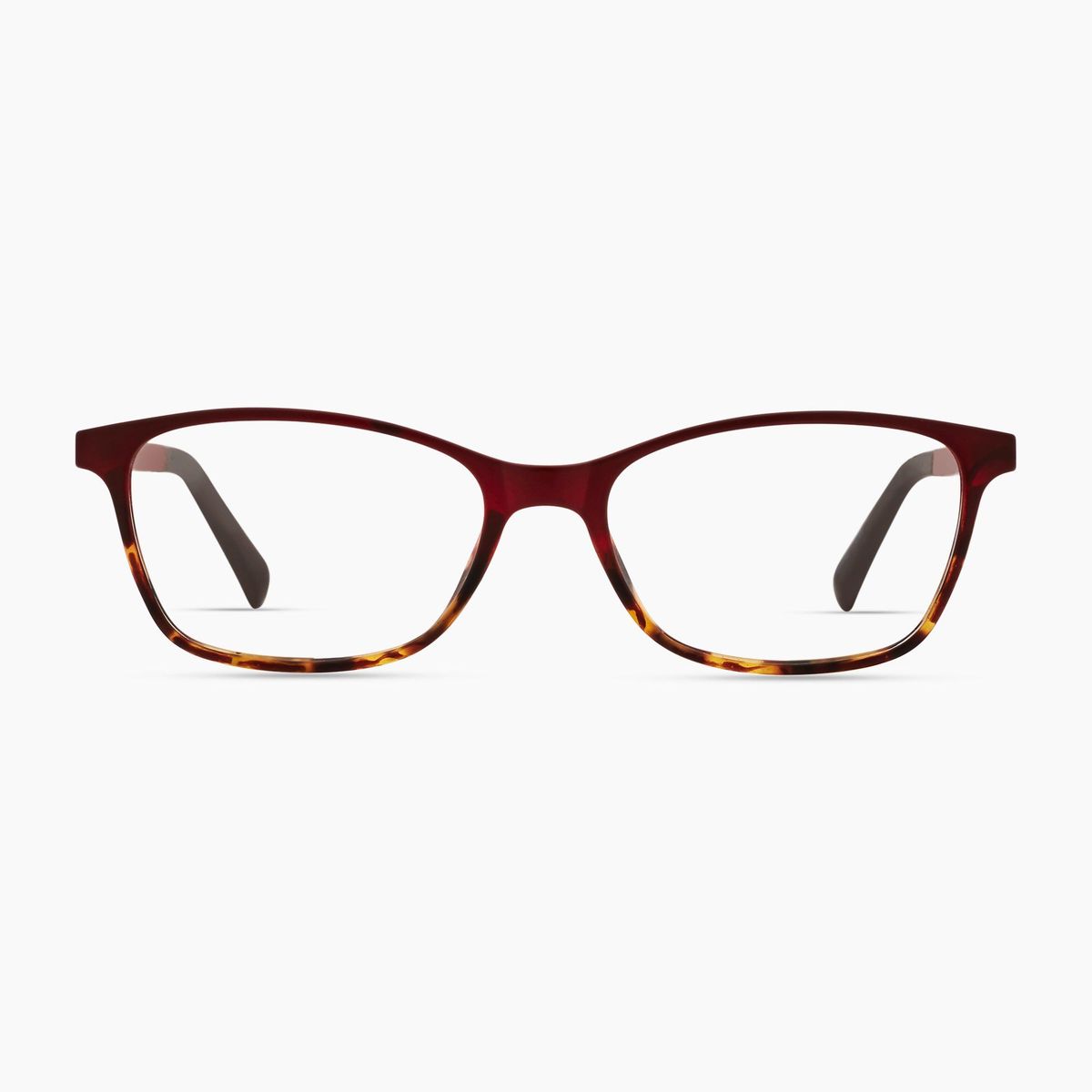 banner-image
